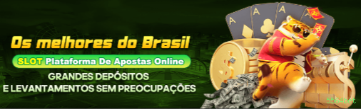 5564bet Link Oficial